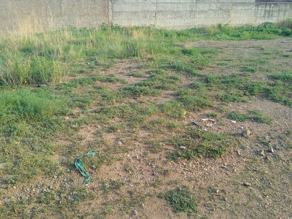 TERRENO EN CUAUHTÉMOC