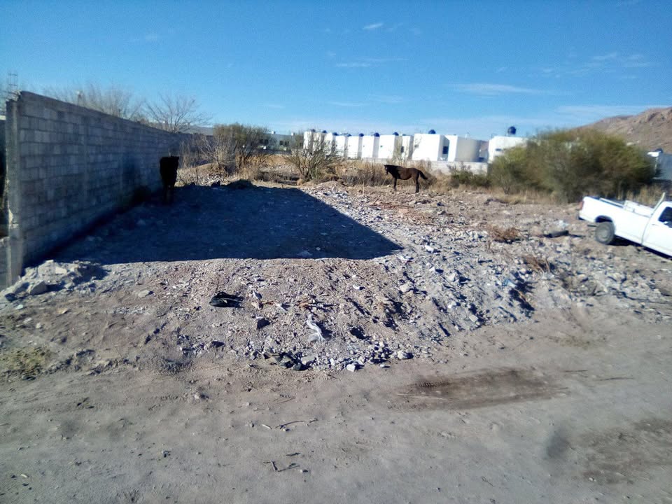 TERRENO EN QUINTAS CAROLINAS