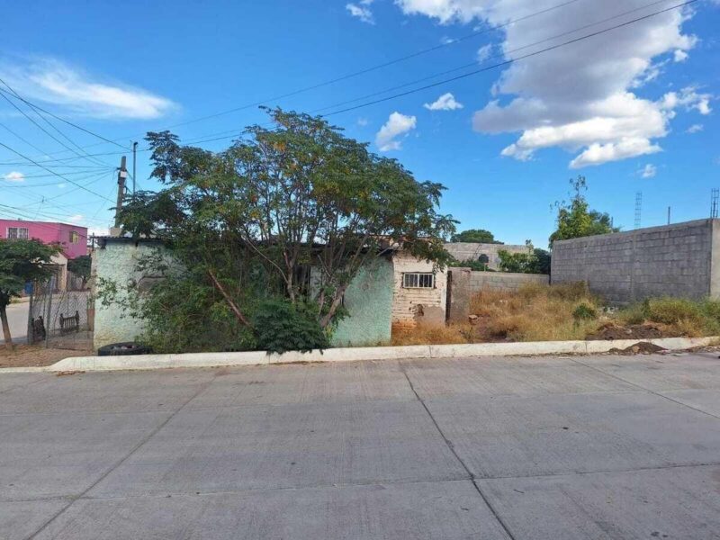 TERRENO AL SUR EN COL. 17 DE JUNIO